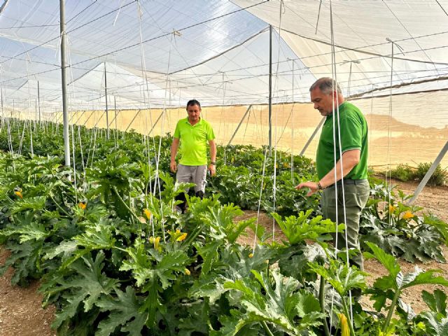 El gobierno de Lorca reclama a Europa que proteja a los agricultores españoles y aplique las cláusulas espejo a terceros países