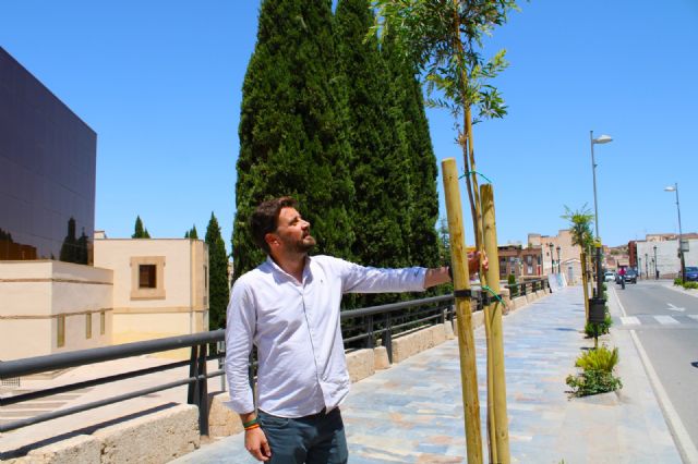 El Ayuntamiento implanta zonas de sombra en la 'isla de calor' en la bajada del Puente Viejo hacia la ciudad