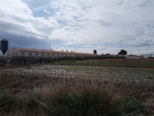 Ecologistas en acción alega contra la ampliación de una macrogranja en Río, Lorca