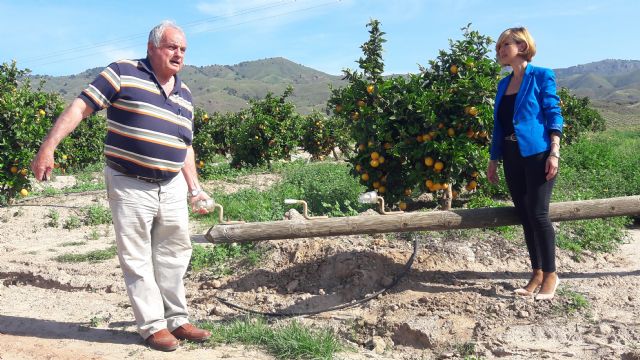 Los ladrones regresan al mismo lugar de Morata del que sustrajeron 1,5 km de tendido eléctrico hace dos semanas