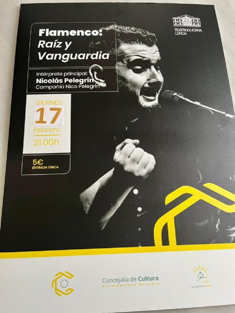 El artista lorquino, Nico Pelegrín, presentará su espectáculo flamenco el viernes, 17 de febrero, en el Teatro Guerra