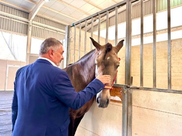 La Feria del Caballo Cruzado de Lorca se celebrará el 21 y 22 de octubre en el Recinto Ferial del Huerto de La Rueda