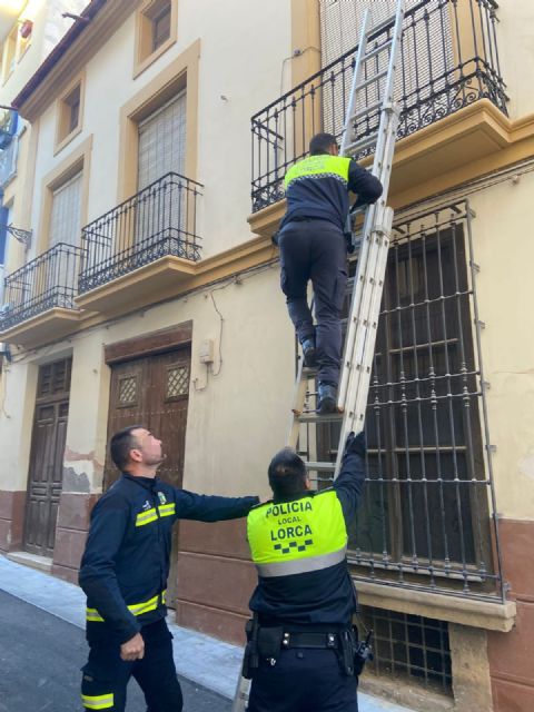 La Policía Local detiene a una persona por un delito de tentativa de robo con fuerza en una vivienda en Lorca