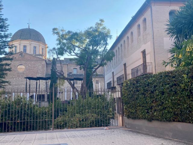 La concejalía de Parques y Jardines llevará a cabo, este mes, una actuación de preservación del ejemplar de jacaranda del jardín del Palacio de Guevara