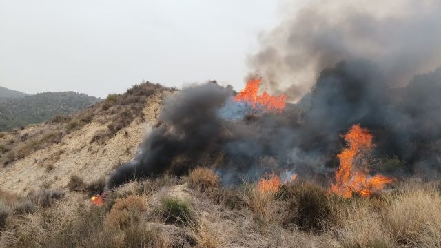 Efectivos del Plan Infomur combaten un incendio forestal en Lorca