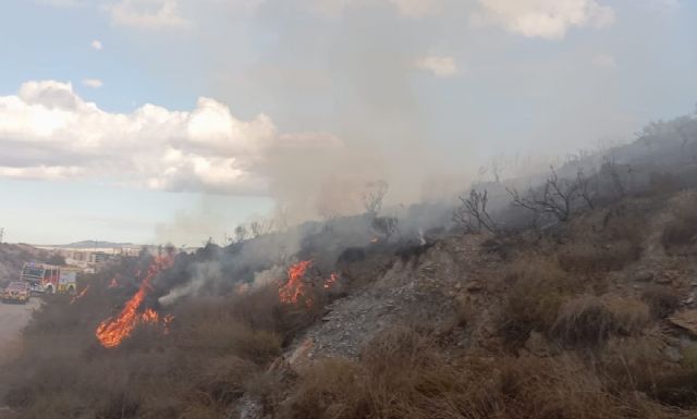 Incendio en una rambla, entre los colegios Alfonso X y Pérez de Hita, Lorca