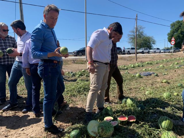 Fulgencio Gil reclama la declaración de zona catastrófica para ayudar a los agricultores afectados por la granizada que ha arruinado miles de hectáreas