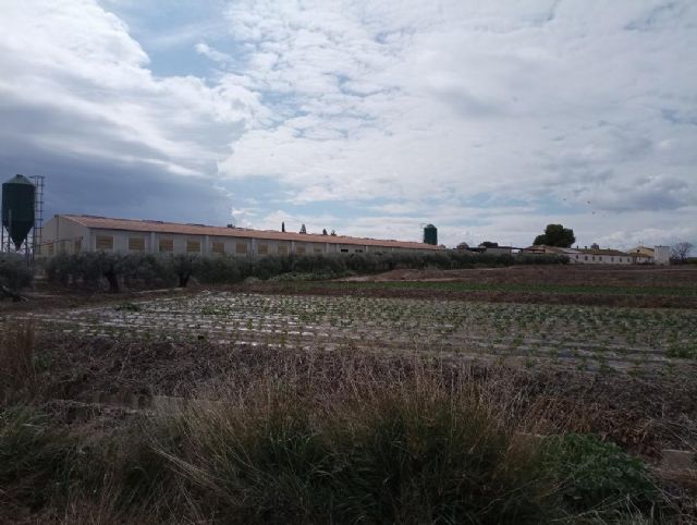 No autorizado el proyecto de ampliación de una granja porcina en Lorca alegado por Ecologistas en Acción