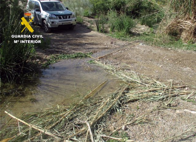 La Guardia Civil sorprende en Lorca a un cazador furtivo capturando aves fringílidas