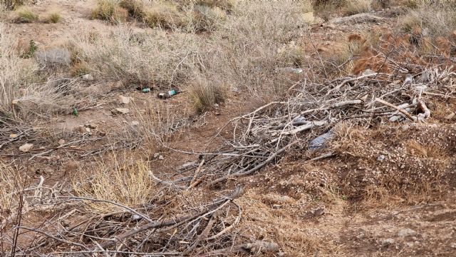 El PSOE solicitará al Ayuntamiento de Lorca una intervención urgente en los aledaños del castillo