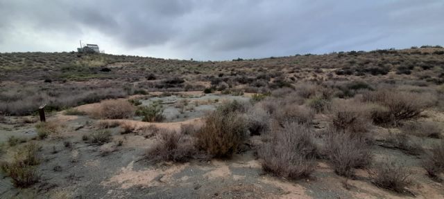 El PSOE de Lorca exige que se revierta la situación de abandono en la que se encuentra el yacimiento arqueológico de Almendricos por la negligente inacción de Fulgencio Gil