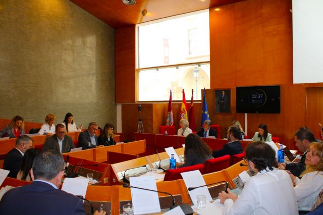 Balance de votaciones del Pleno Ordinario del Ayuntamiento de Lorca correspondiente al mes de octubre 2024