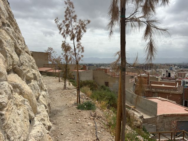 El barrio de San Pedro acumula un año de dejadez, abandono y pura desidia como resultado de la gestión del PP de Fulgencio Gil y Vox